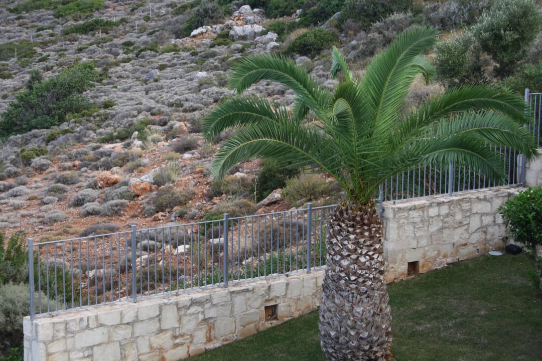 Palme Grand Hotel Holiday Resort