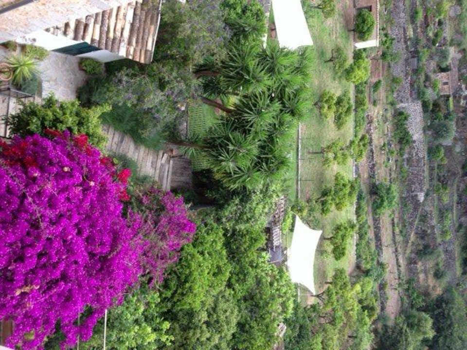 Von Zimmer Nr. 4 Fornalutx Petit Hotel