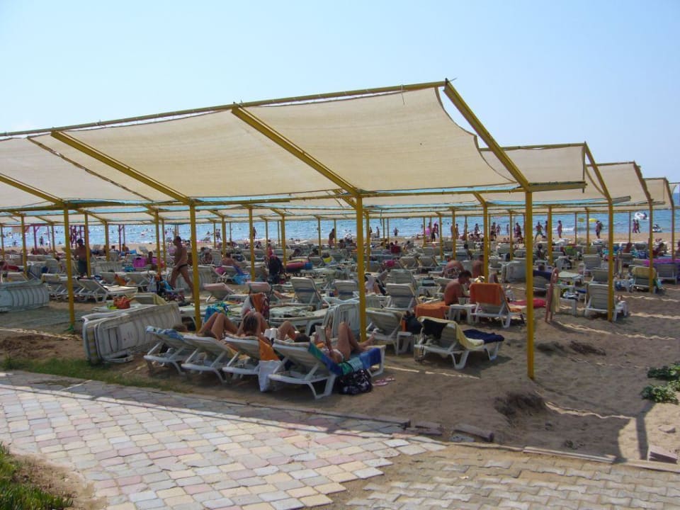 Hotelstrand Hotel Orfeus Park