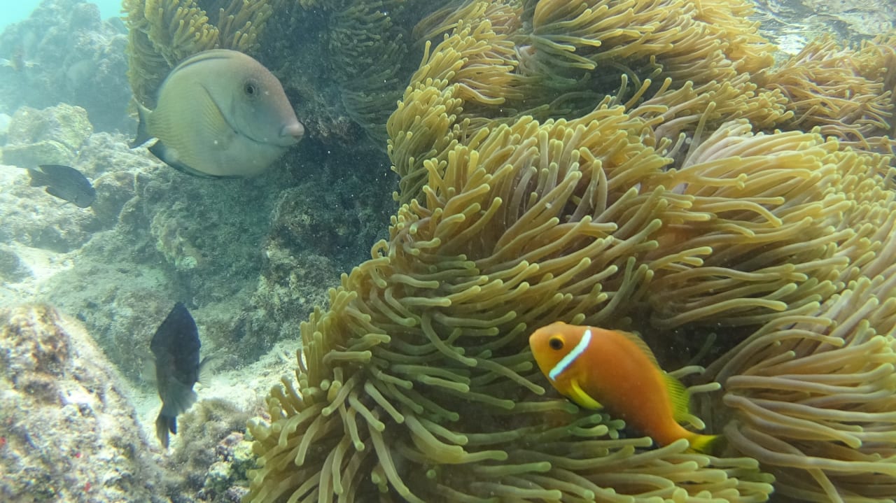 Sonstiges Summer Island Maldives