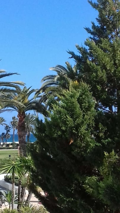 Ausblick allsun Hotel Bahia del Este