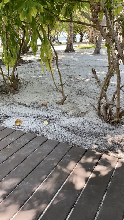 Gartenanlage Adaaran Select Hudhuran Fushi - Premium All Inclusive