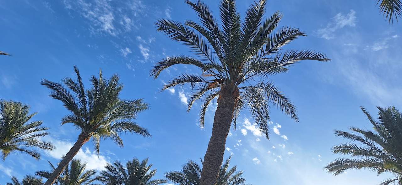 Strand Continental Hotel Hurghada