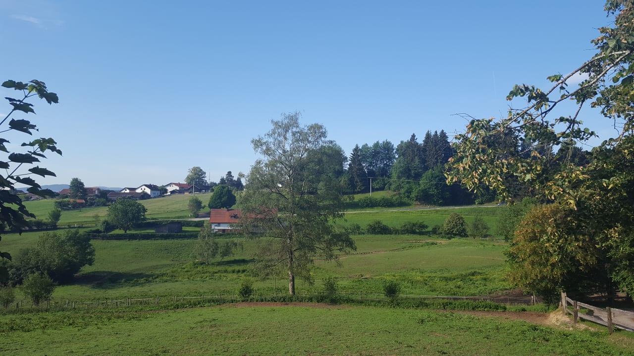 Pferdekoppeln Tigerhill-Ranch-Norikerhof