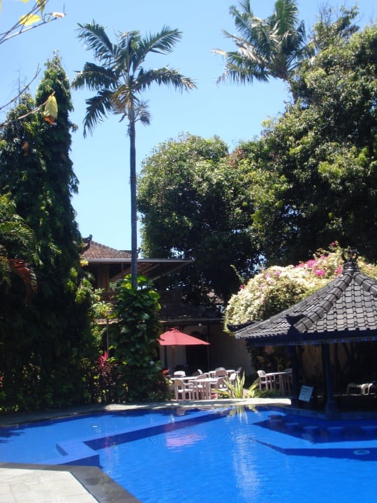 Pool Hotel Ari Putri