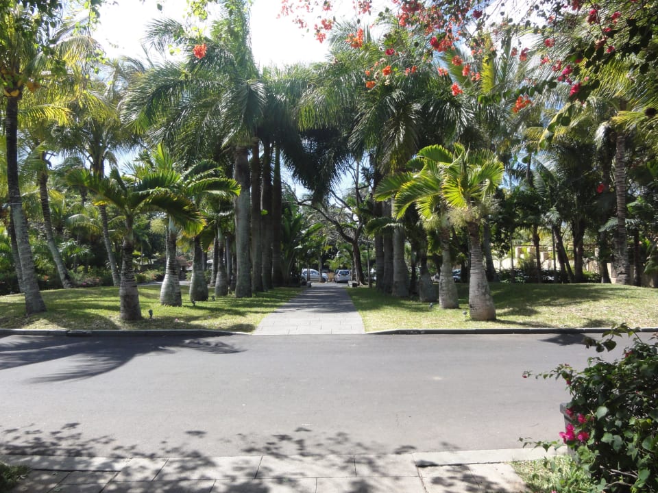 Park vorm Eingangsbereich Mauricia Beachcomber Resort & Spa