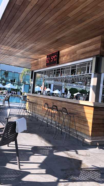 Gastro Acanthus Cennet Barut Collection