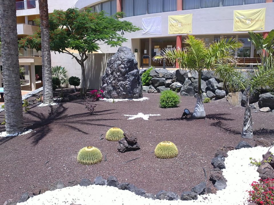 Sehr gepflegte Gartenanlage Iberostar Waves Gaviotas Park