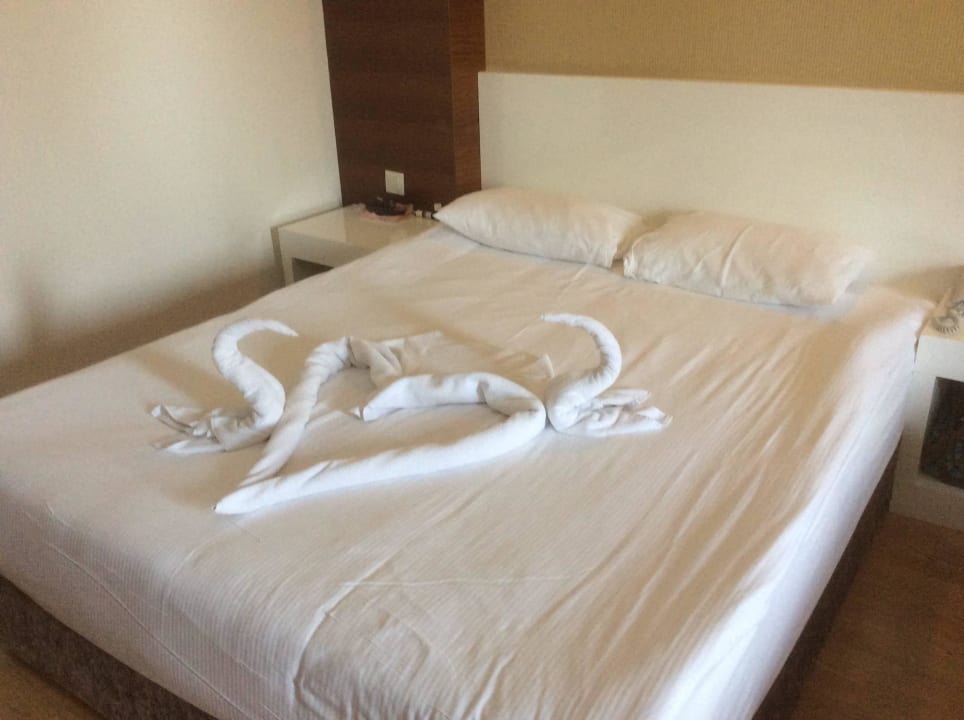 Standartbett Seaden Sea World Resort & Spa
