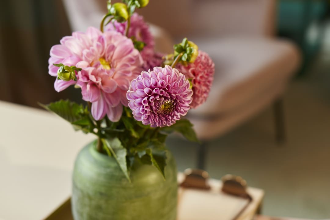 Zimmer Hotel Metropol by Maier Privathotels