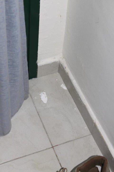 Da fällt der Putz schon ab Domes Aulūs Zante, Autograph Collection