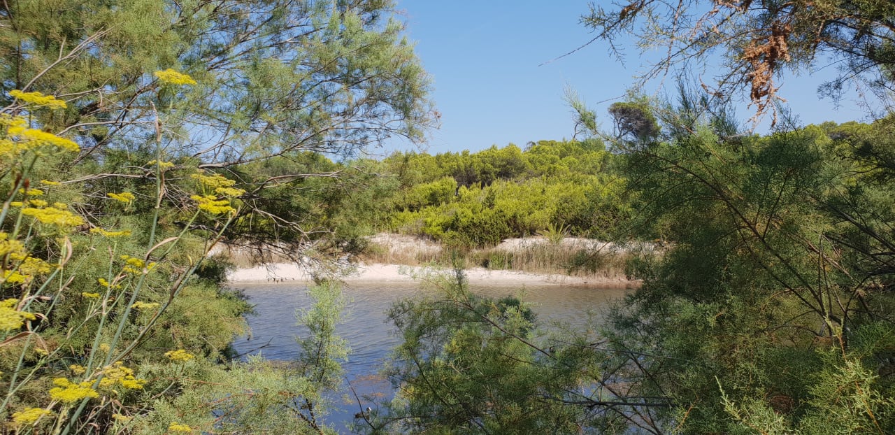 Sonstiges Hotel Exagon Park