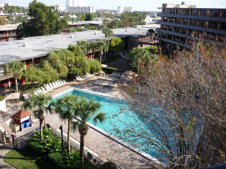 Ausblick auf den Pool Rosen Inn International
