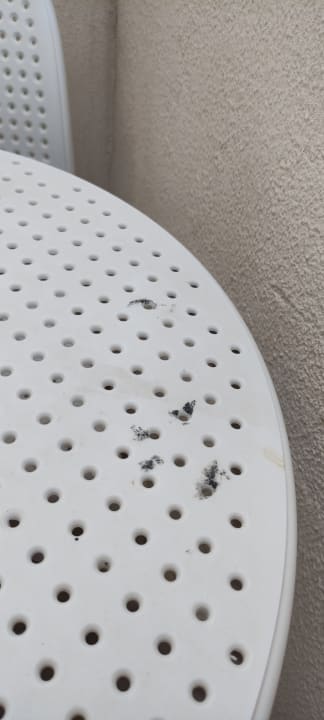 Zimmer Well Palace Side