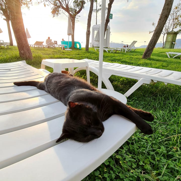 Gartenanlage Labranda Alantur Resort