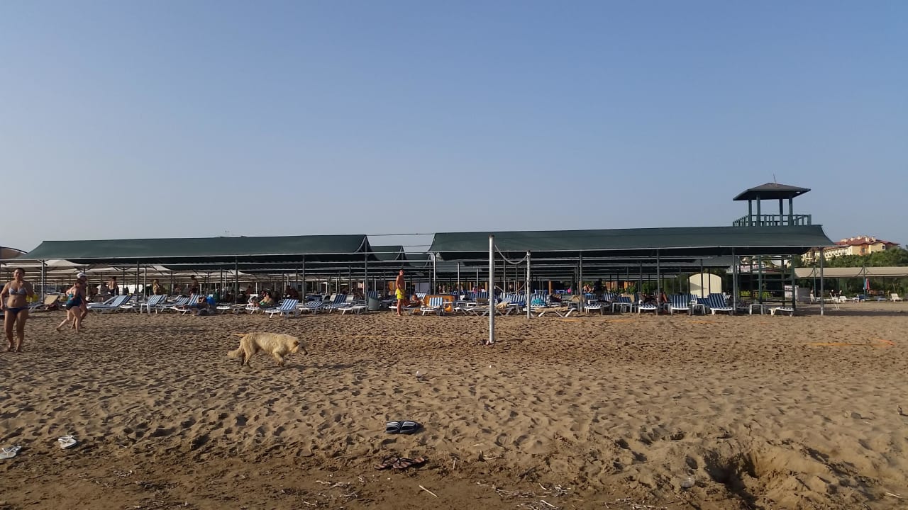 Strand  Well Palace Side