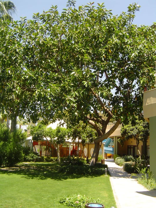 Garten Hotel Grand Side