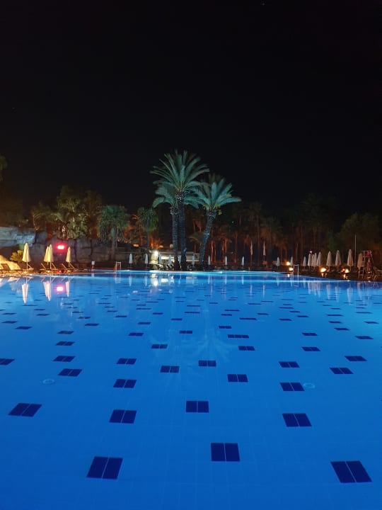Pool Monachus Family Resort Sorgun