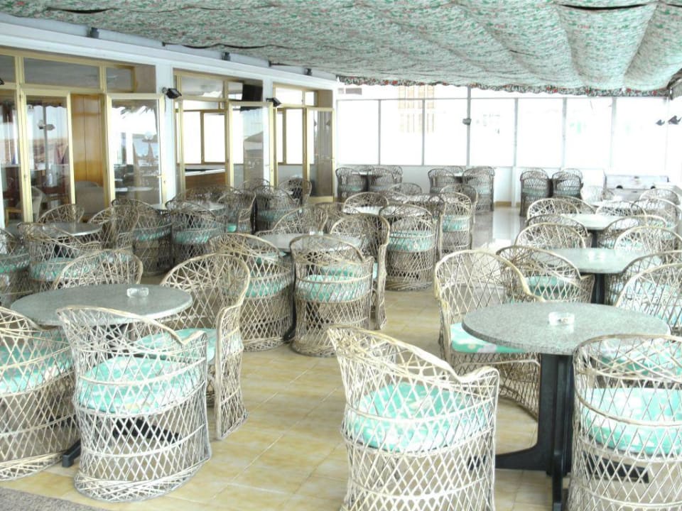 Poolterrasse Hotel Veronica R2 Veronica Beach Hotel