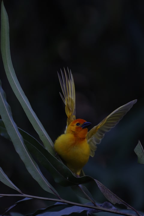 Sonstiges Bahari Beach Hotel