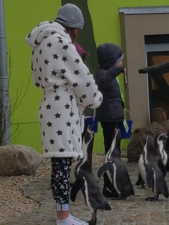 Pool Spreewelten Hotel