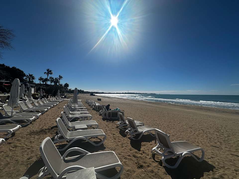 Strand Side Star Elegance