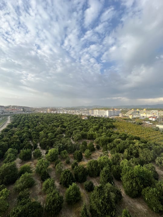 Ausblick Haydarpasha Palace