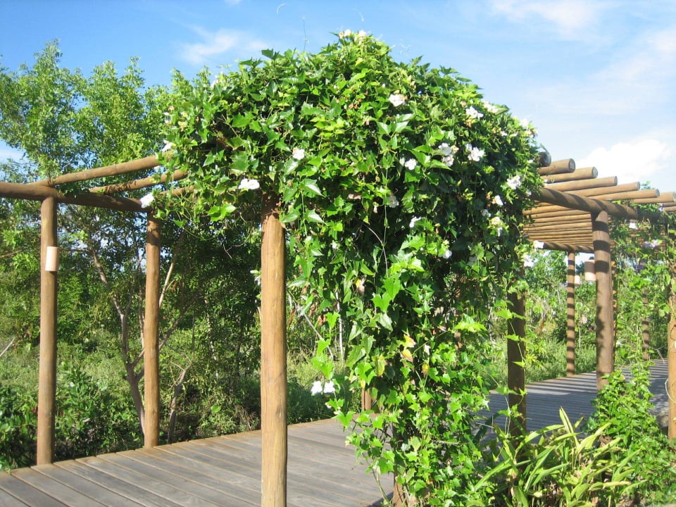 Fußweg Grand Palladium Imbassai Resort & Spa