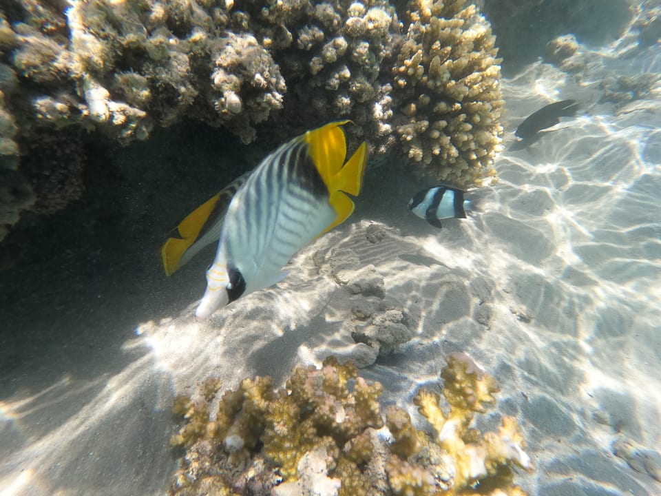 Sport & Freizeit Grand Waterworld Makadi & Family Star Makadi