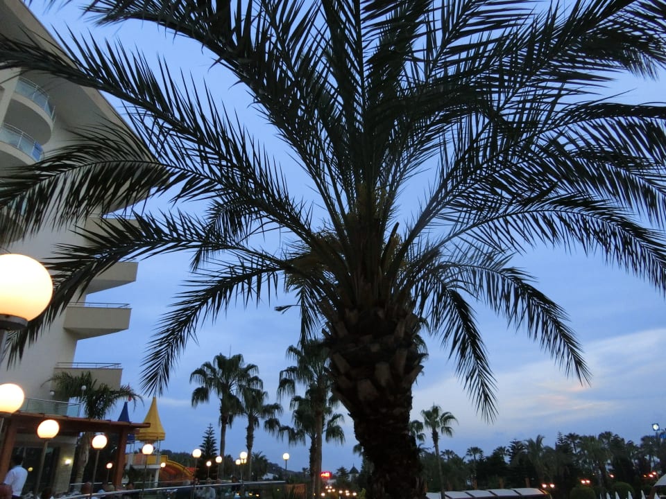 Sonstiges Saphir Resort & Spa