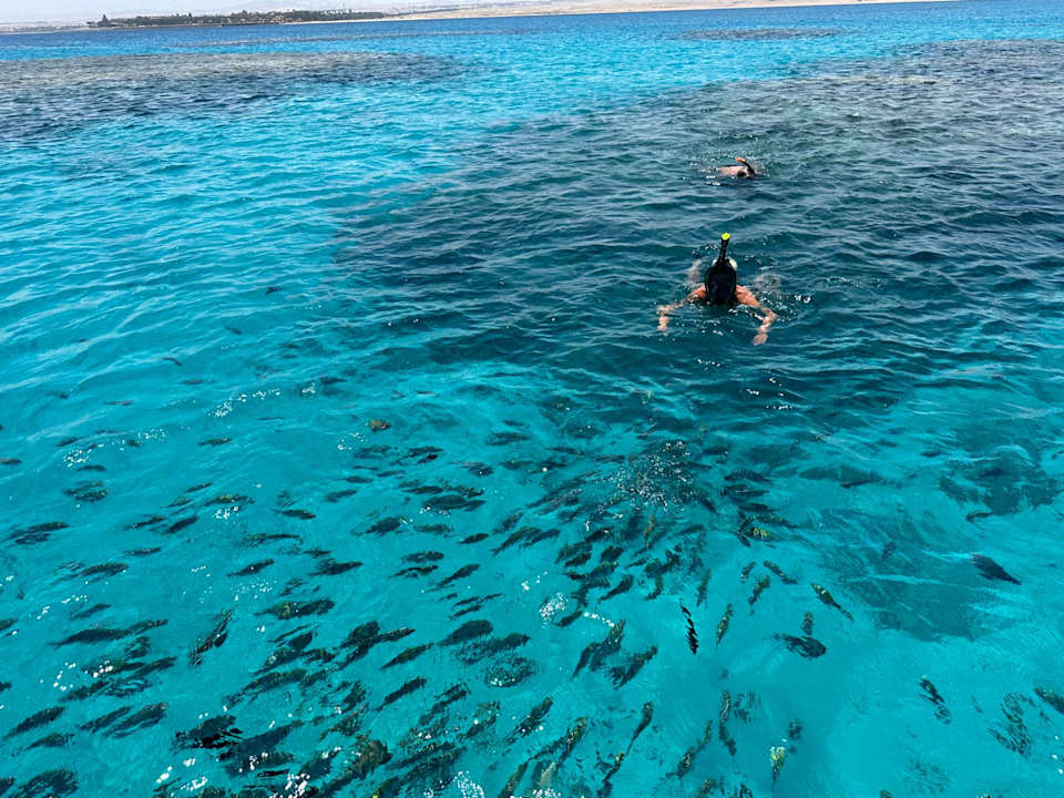 Sonstiges Cleopatra Luxury Resort Makadi Bay