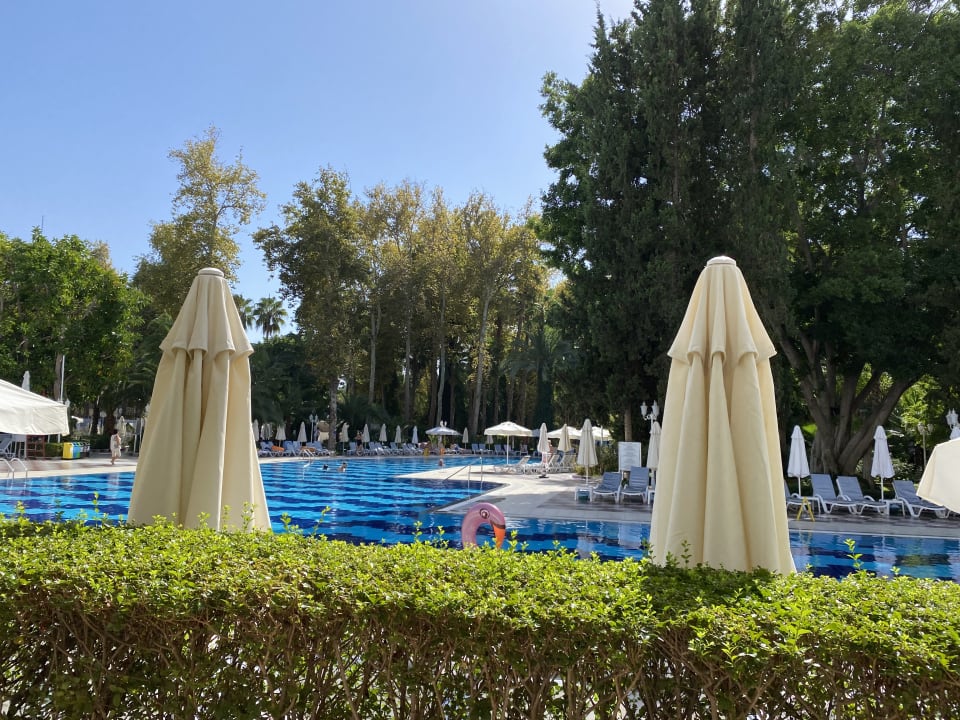 Pool Hotel Botanik Platinum