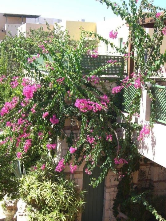 Blumen Silva Beach Hotel