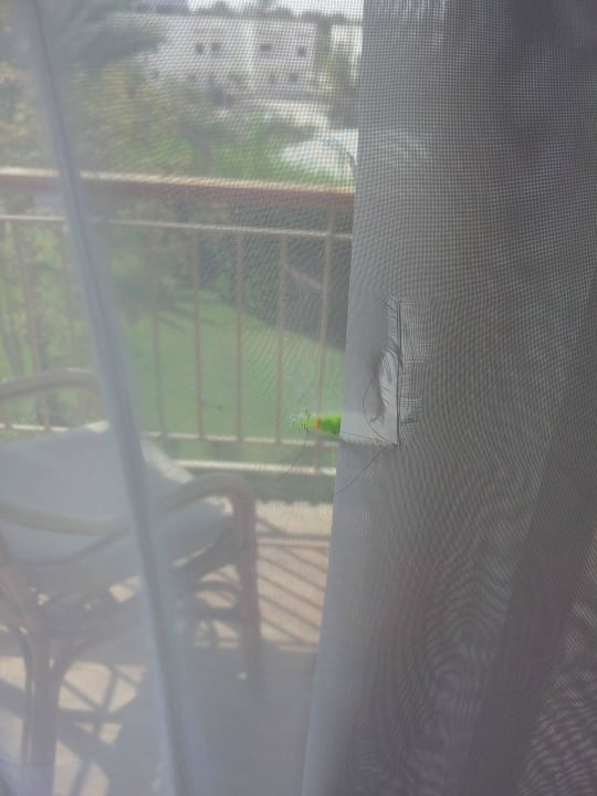 Löcher in den Gardnien Desert Rose