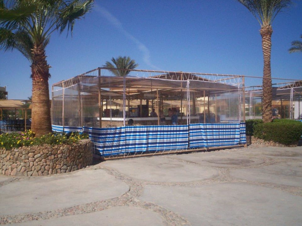 Grill Bar Desert Rose
