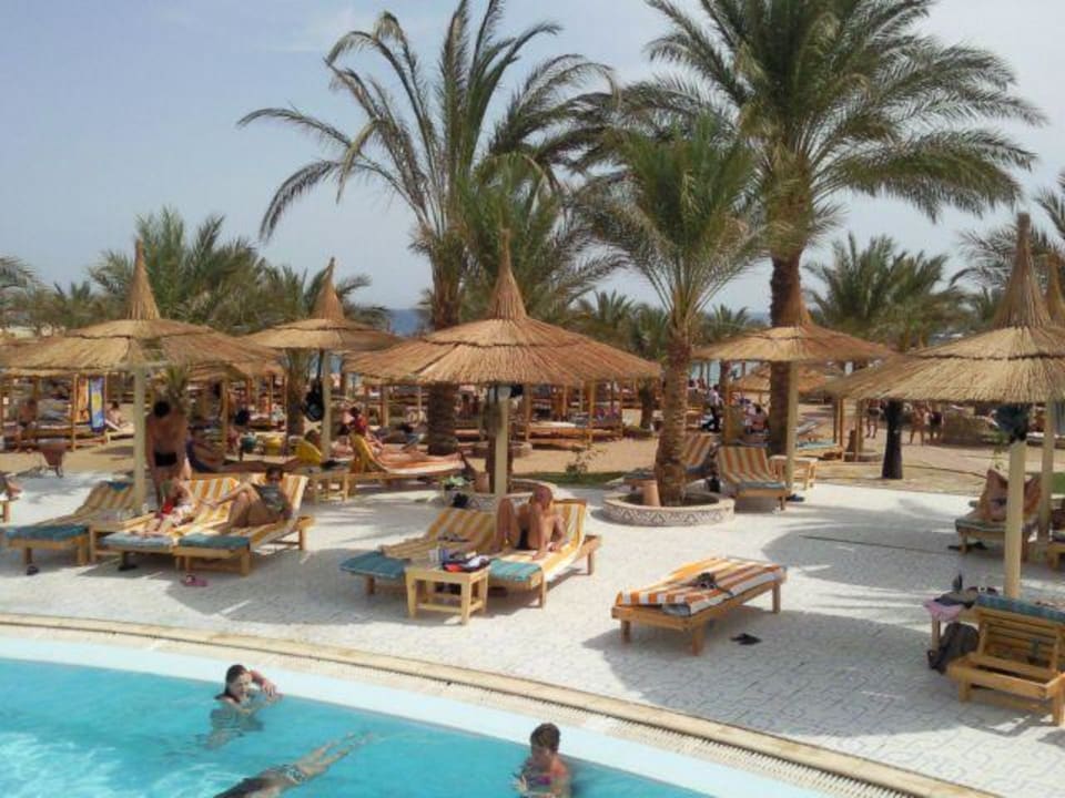 Basen Beach Albatros Resort