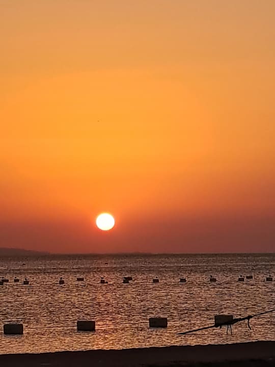 Zimmer Giftun Azur Resort