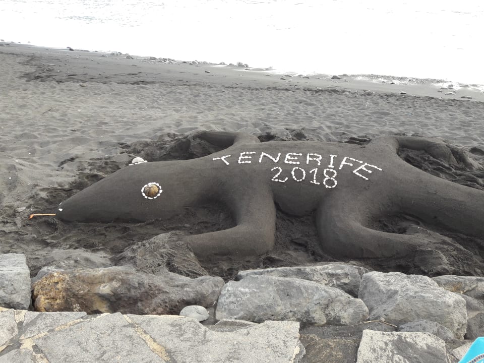 Strand H10 Tenerife Playa