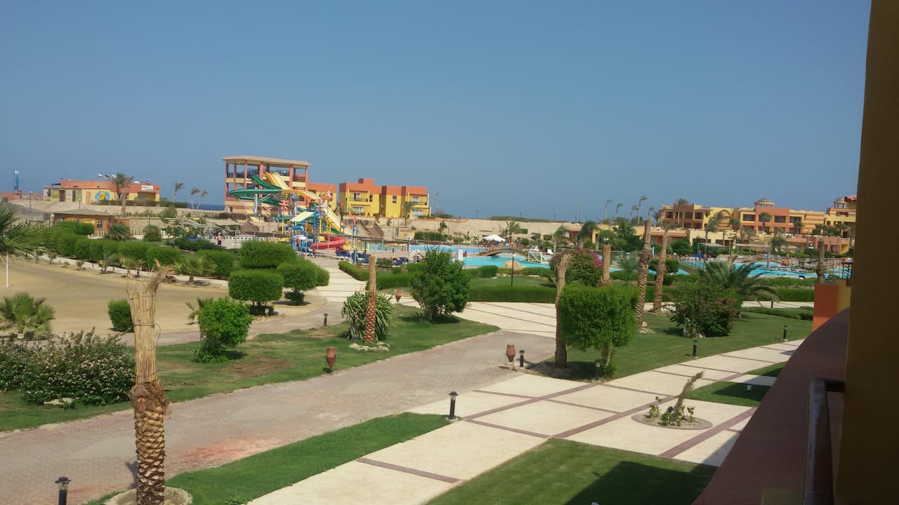 Pool Malikia Resort Abu Dabbab