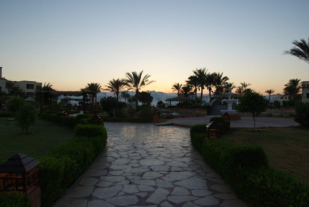 Ogród Regency Plaza Aqua Park & Spa