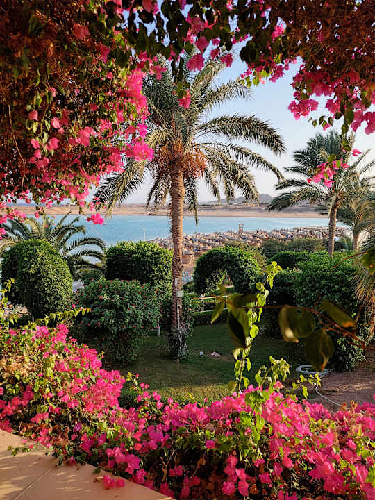 Zimmer TUI MAGIC LIFE Kalawy