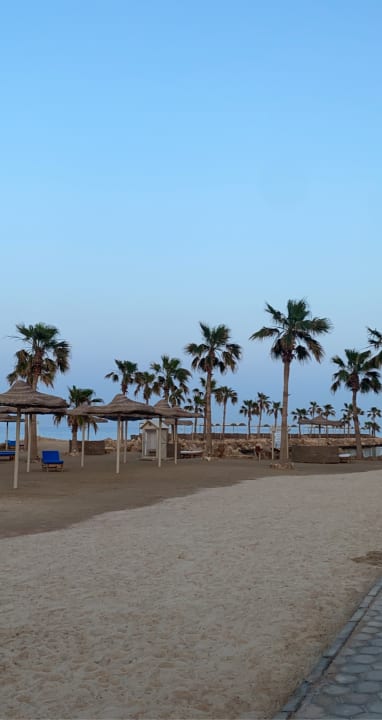 Strand Pickalbatros Citadel Resort