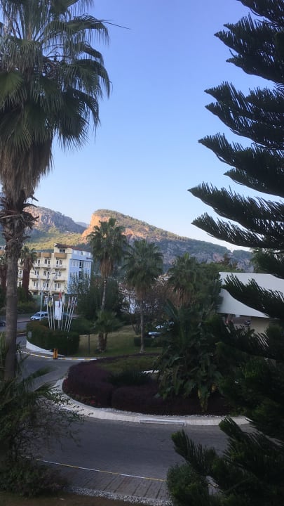 Ausblick TUI MAGIC LIFE Beldibi +16