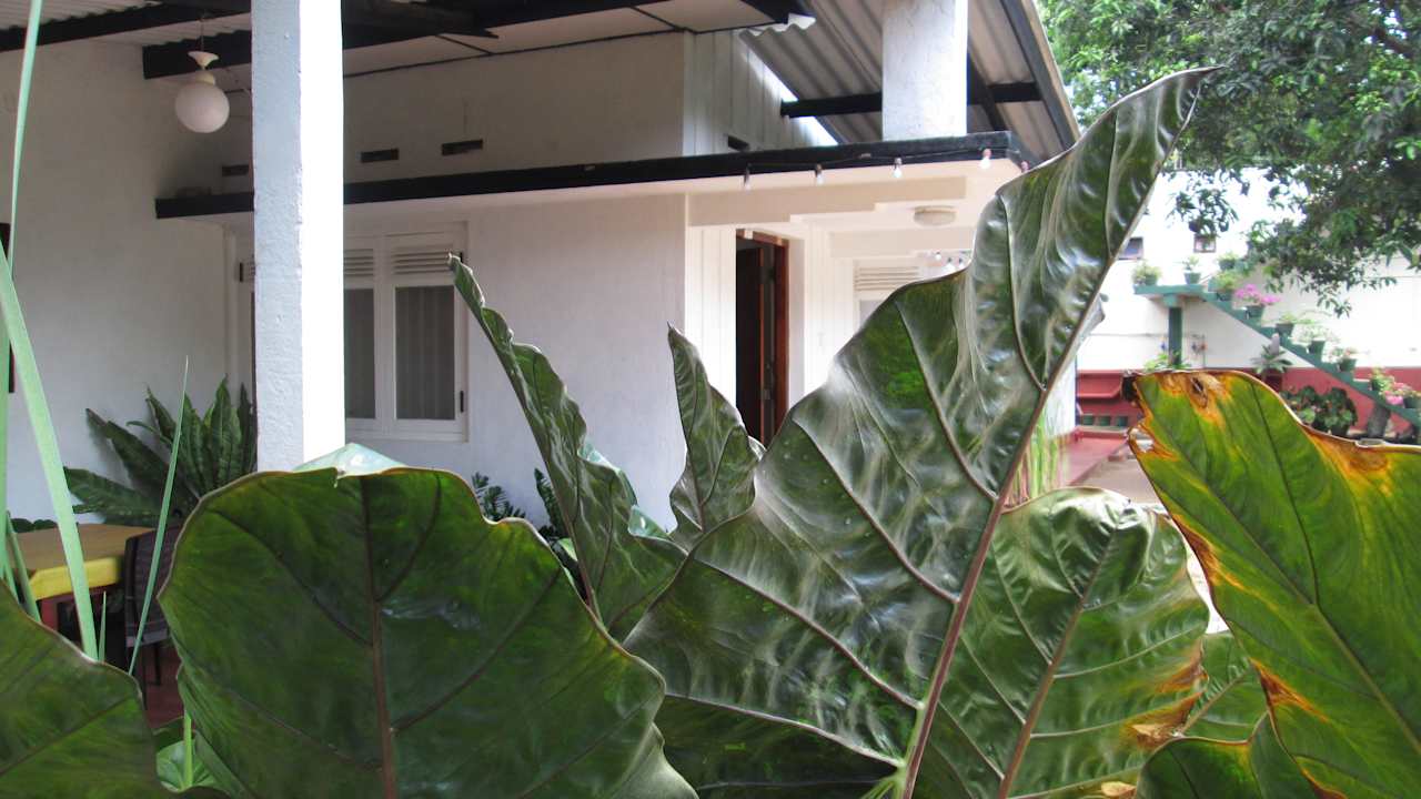 Garden view Travel Lodge Lake View Tourist Resort