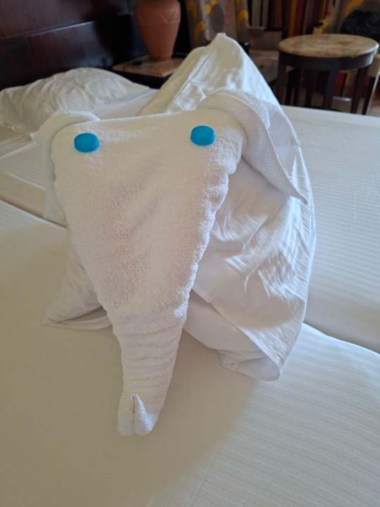 Zimmer Malikia Resort Abu Dabbab