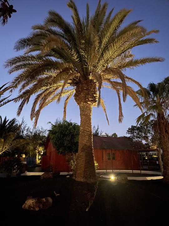 Gartenanlage allsun App.-Hotel Albatros