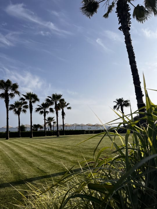 Gartenanlage Paloma Finesse