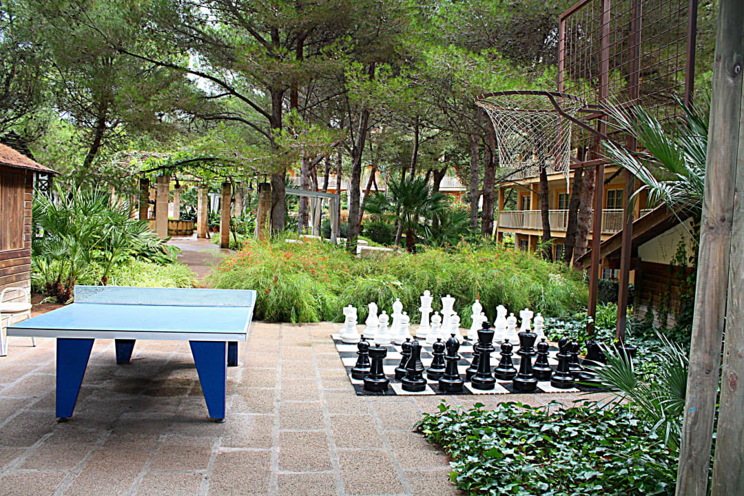 Sportmöglichkeiten VIVA Cala Mesquida Suites & Spa 16+