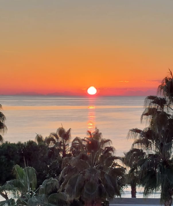 Ausblick Acanthus Cennet Barut Collection