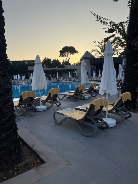 Pool Papillon Ayscha